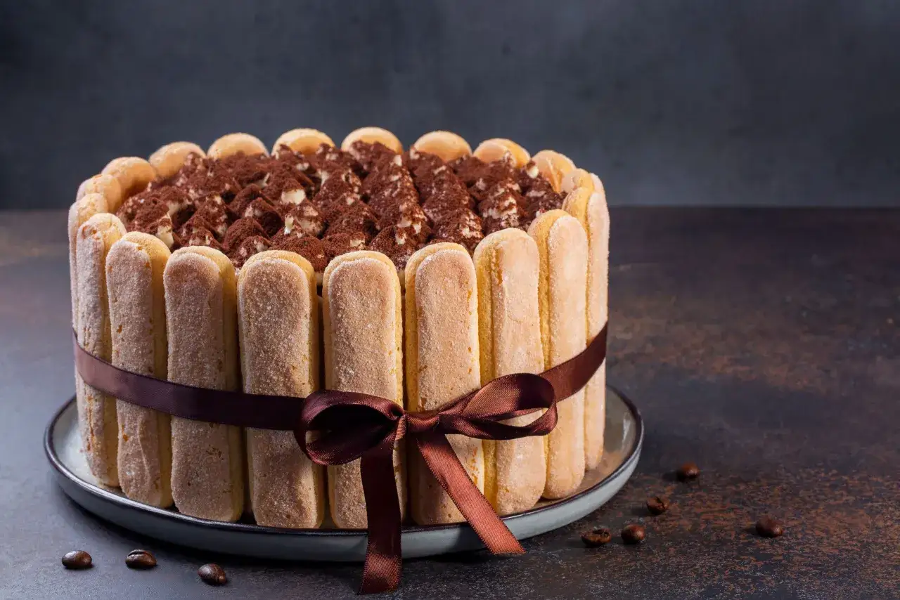 Une délicieuse charlotte au chocolat, entourée de biscuits à la cuillère et d'un ruban de satin marron.