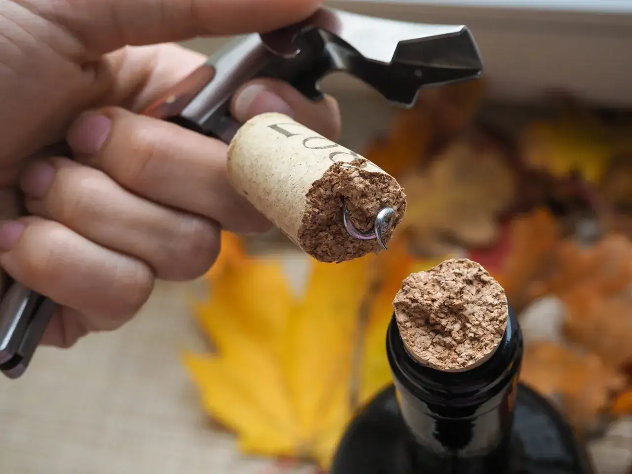 Maintenant, vous savez comment enlever un bouchon de li&egrave;ge dans une bouteille. Un tire-bouchon est utilis&eacute; pour retirer le bouchon d'une bouteille de vin.