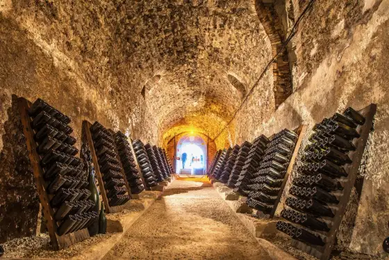 Champagne en cave à vin - Guide de conservation optimale