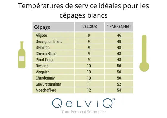 Vin blanc au frigo - La bonne température pour chaque style