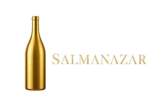 Salmanazar - Contenance (9L) et service parfait pour vos réceptions