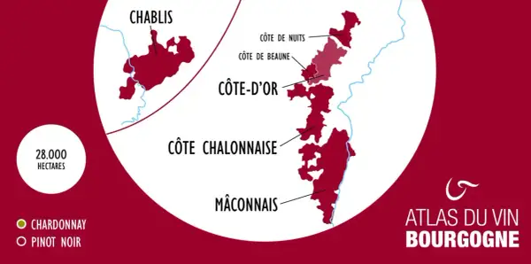Carte des vignobles de Bourgogne, montrant Chablis, Côte d'Or (avec Côte de Nuits et Côte de Beaune), Côte Chalonnaise et Mâconnais. 28 000 hectares dédiés au Chardonnay et Pinot Noir, des terroirs d'exception pour un grand cru.