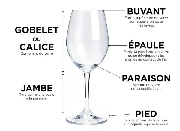 Gobelet ou calice : la contenance verre de vin est expliquée par ses différentes parties : buvant, épaule, paraison, jambe et pied.