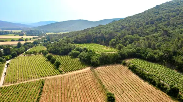 Vue aérienne du domaine Bouisse Matteri, avec ses vignobles verdoyants s'étendant sur des collines boisées sous un ciel bleu clair.