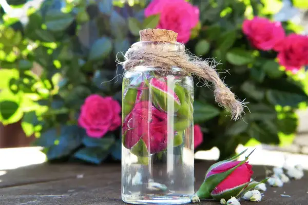 Bouteille en verre remplie de roses et de liquide, avec des roses en arrière-plan. Une idée pour que faire avec un mauvais vin rosé : créer une eau florale !