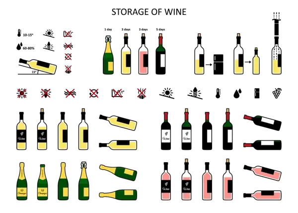 Illustrations de bouteilles de vin et de champagne. La température de conservation du vin blanc est cruciale pour préserver ses arômes.